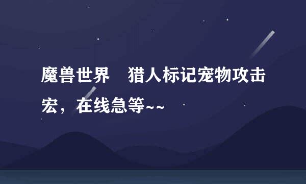 魔兽世界 猎人标记宠物攻击宏，在线急等~~