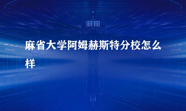 麻省大学阿姆赫斯特分校怎么样