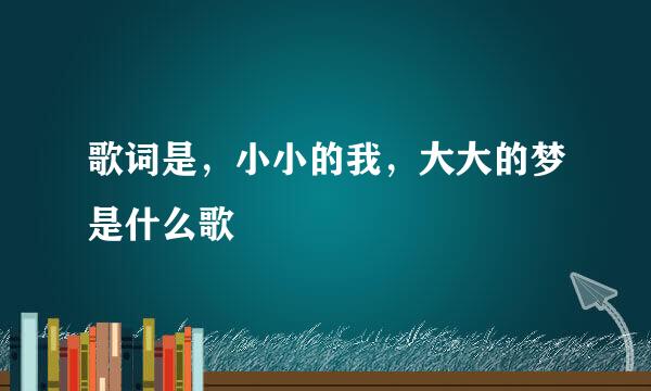 歌词是，小小的我，大大的梦是什么歌