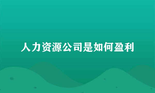 人力资源公司是如何盈利