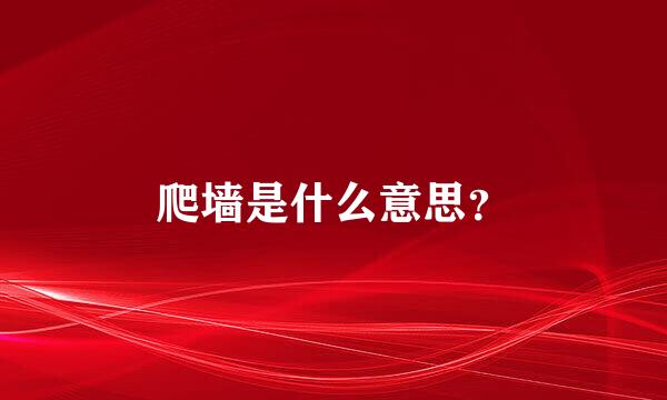 爬墙是什么意思？