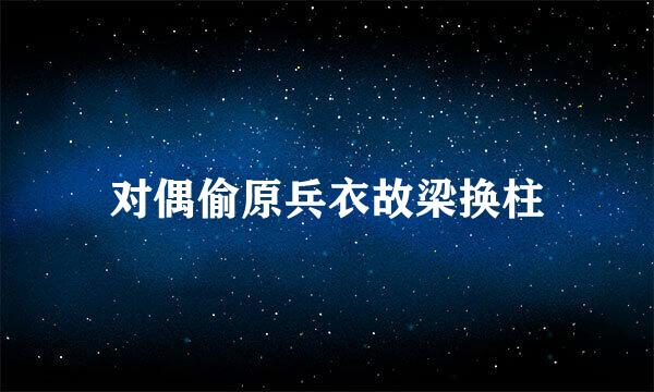 对偶偷原兵衣故梁换柱