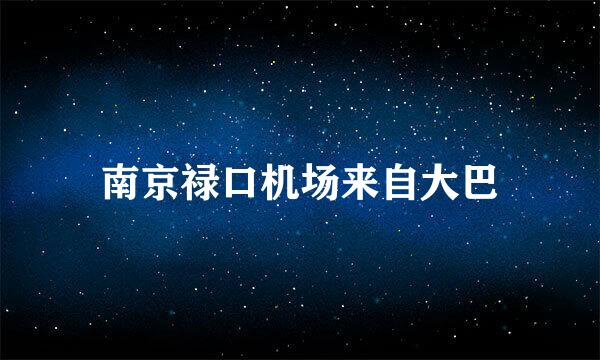 南京禄口机场来自大巴