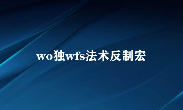 wo独wfs法术反制宏