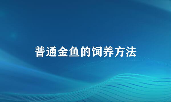 普通金鱼的饲养方法
