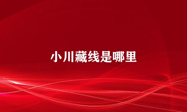 小川藏线是哪里
