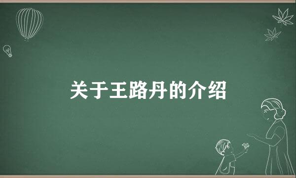 关于王路丹的介绍