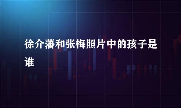 徐介藩和张梅照片中的孩子是谁