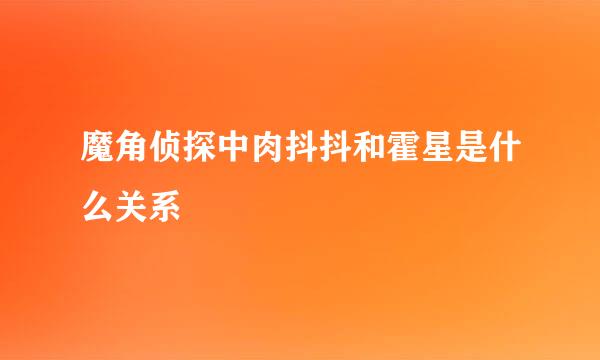 魔角侦探中肉抖抖和霍星是什么关系