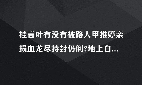 桂言叶有没有被路人甲推婷亲损血龙尽持封仍倒?地上白色斑点和她自己衣衫不整又是闹哪样?