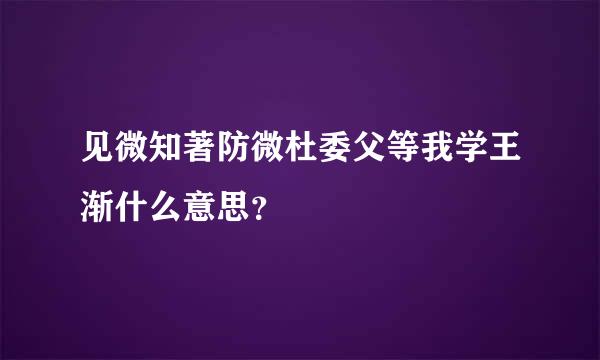见微知著防微杜委父等我学王渐什么意思？
