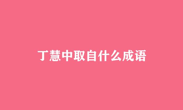 丁慧中取自什么成语