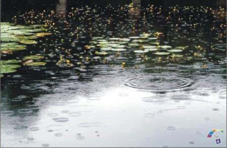 一来自场秋雨一场寒下一句是什么