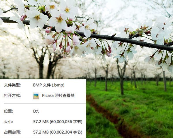 png来自与jpg的区别是什么？