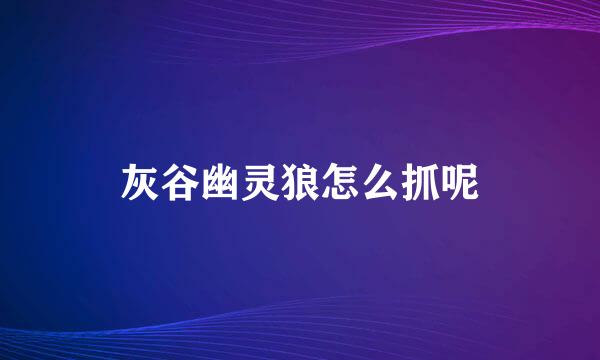 灰谷幽灵狼怎么抓呢