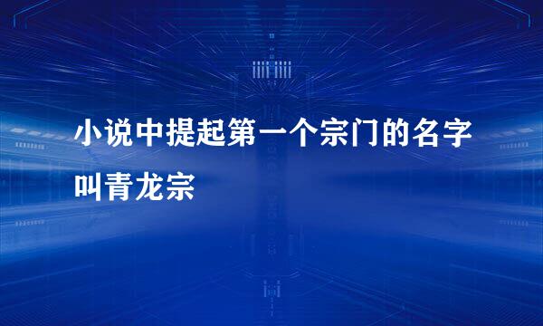 小说中提起第一个宗门的名字叫青龙宗