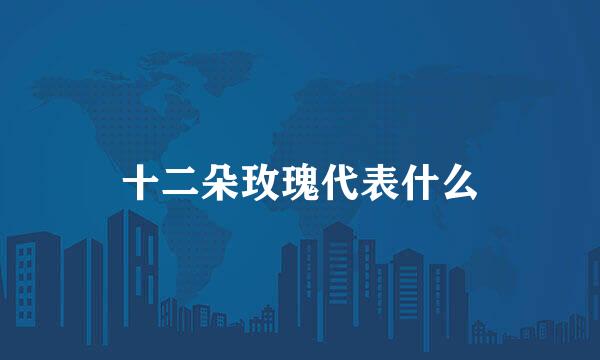 十二朵玫瑰代表什么