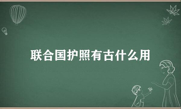 联合国护照有古什么用