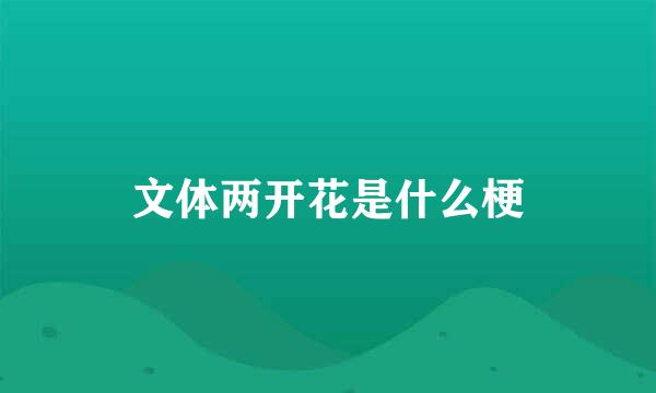 文体两开花是什么梗