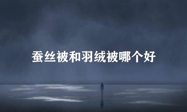 蚕丝被和羽绒被哪个好