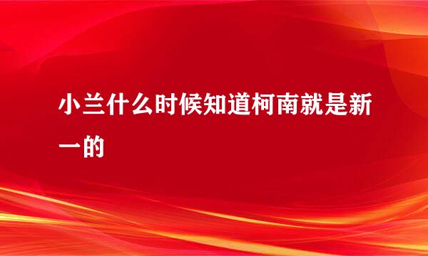 小兰什么时候知道柯南就是新一的　