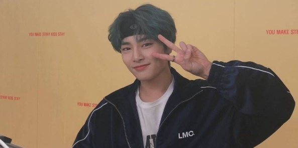 strayki来自ds成员介绍？
