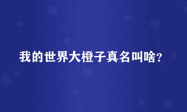 我的世界大橙子真名叫啥？