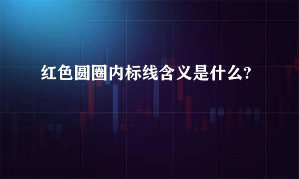 红色圆圈内标线含义是什么?