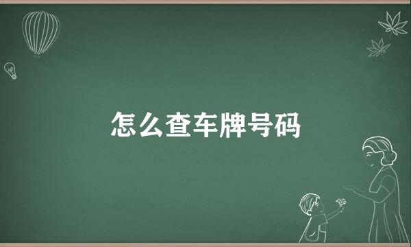 怎么查车牌号码