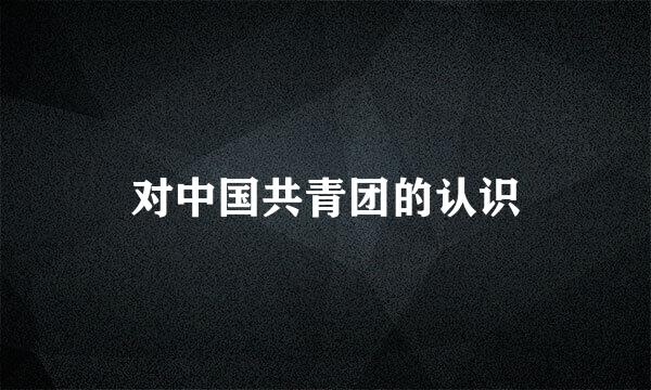 对中国共青团的认识