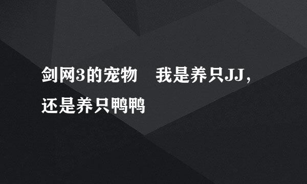 剑网3的宠物 我是养只JJ，还是养只鸭鸭