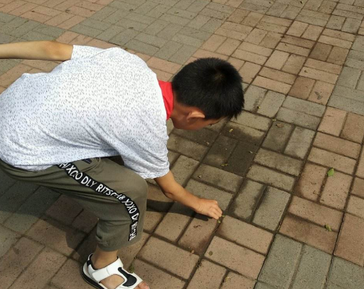 pick up述长四的所有用法?