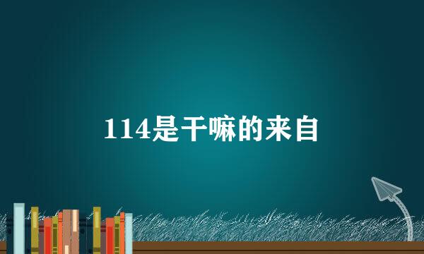 114是干嘛的来自