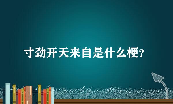 寸劲开天来自是什么梗？