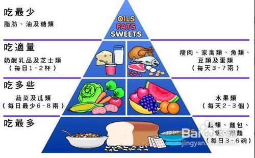 怎么减肥不反弹啊