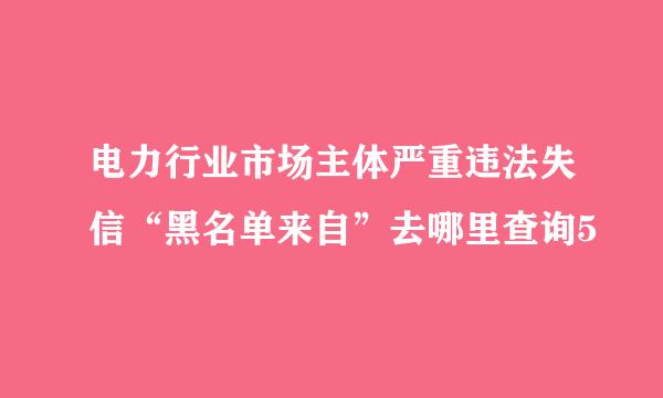 电力行业市场主体严重违法失信“黑名单来自”去哪里查询5