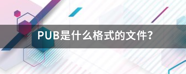 PUB是什么格式军对的文件？