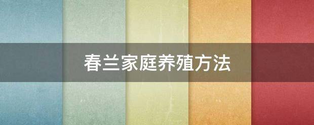 春兰家庭养殖方法