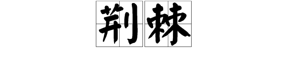 “荆棘”是什么意思？