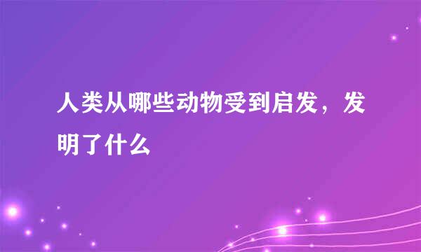 人类从哪些动物受到启发，发明了什么
