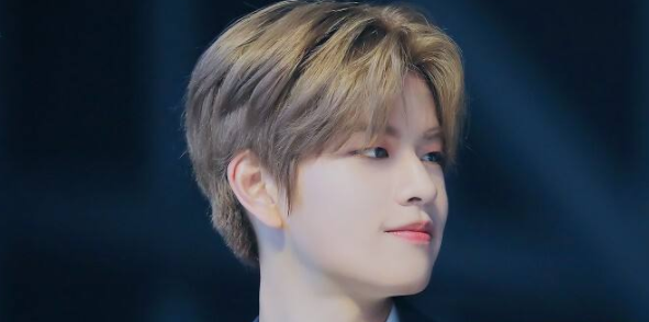 strayki来自ds成员介绍？