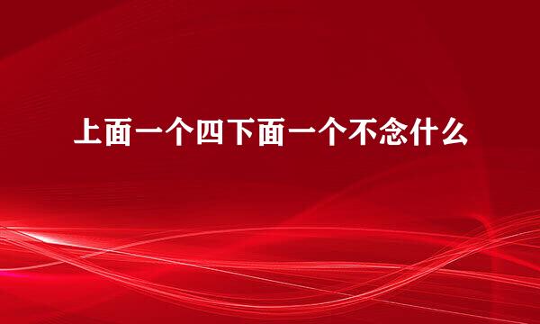 上面一个四下面一个不念什么