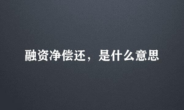 融资净偿还，是什么意思