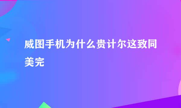 威图手机为什么贵计尔这致同美完