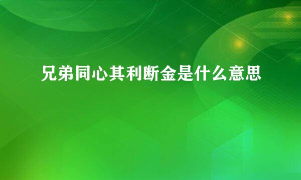 兄弟同心其利断金是什么意思