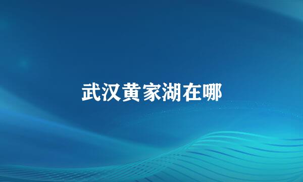 武汉黄家湖在哪