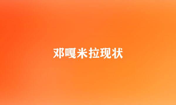 邓嘎米拉现状