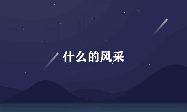 什么的风采