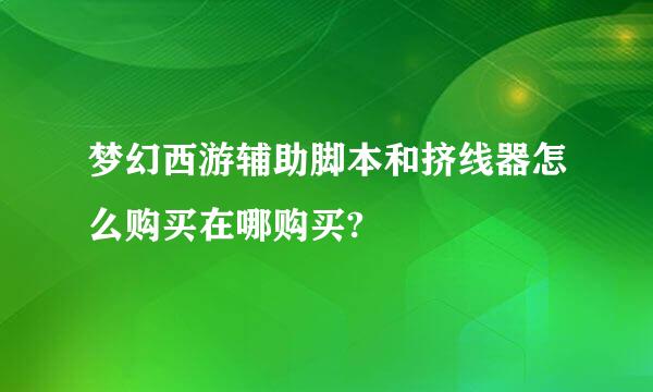 梦幻西游辅助脚本和挤线器怎么购买在哪购买?