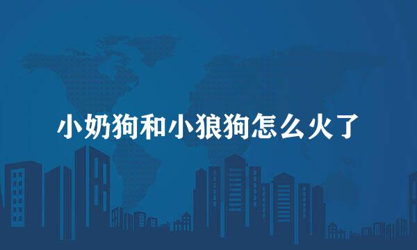 小奶狗和小狼狗怎么火了